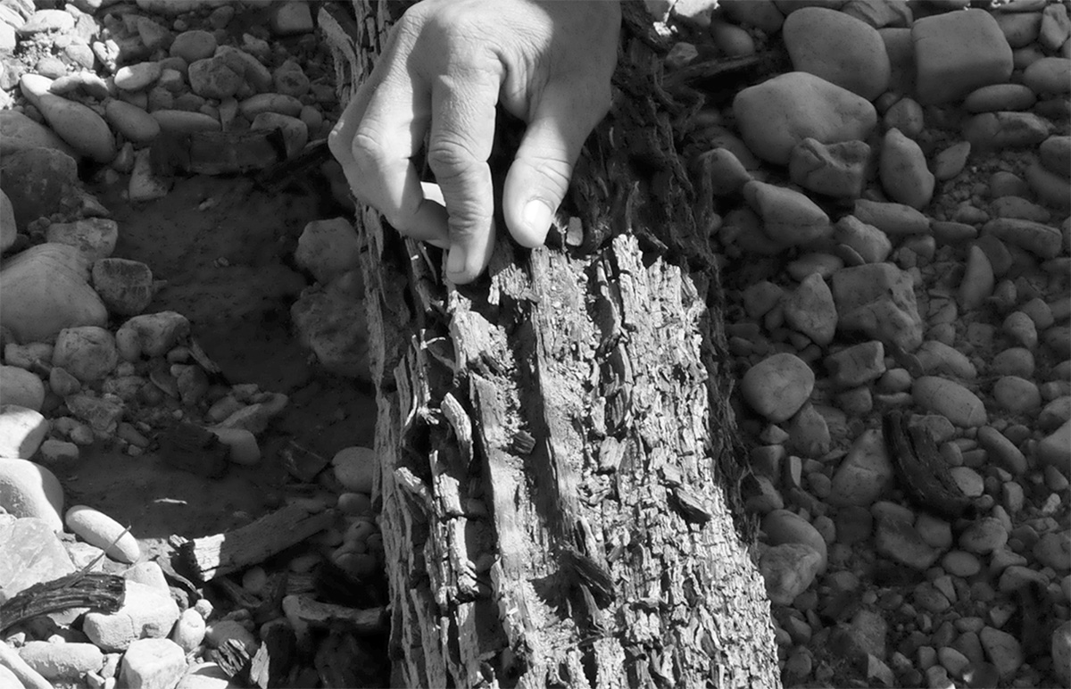 Livello-3-1-1